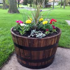Best Plants For Wine Barrel Planters At