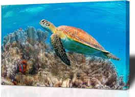 Bathroom Wall Art Sea Turtle Wall Decor