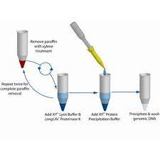 the basics of dna extraction