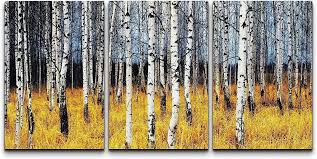 Aspen Tree Forest Landscape Wall Art