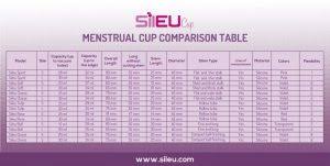 Sileu Menstrual Cup Review Wild Earth Beauty Blog