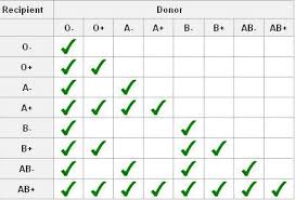 Aadhilnet Blood Group Match Chart Blood Type Blood