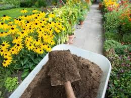 Add Compost To Perennial Garden Beds