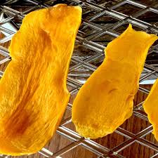 how to make dehydrated mango the