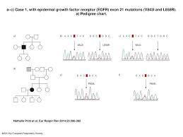 A C Case 1 With Epidermal Growth Factor Receptor Egfr