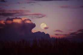 Nature sunset trees dusk moon night evening sky photo, resolution 1993×3000 pixel, image type jpg, free download and free for commercial use. Moon Sunset Dusk Free Photo On Pixabay