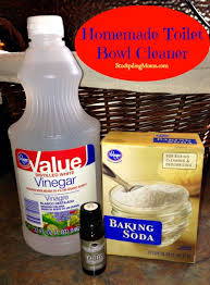 homemade toilet bowl cleaner