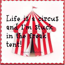 In addition to the normal circus brand name, there. Circus Quotes And Sayings Life Is A Circus And I M Stuck In The Freak Tent Circus Quotes Picture Quotes Inspirational Quotes With Images