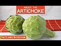 about the artichoke interesting facts