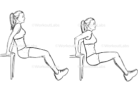 Chair / Bench Tricep Dips – WorkoutLabs Exercise Guide