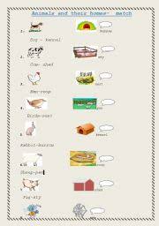 Match The Animal To Their Homes Esl Worksheet By Jeevaa
