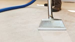 hiring a professional carpet cleaning