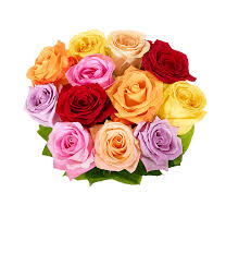To send cheap flowers to michigan, use our services as we work with top professional local florists and flower shops in michigan. Cheap Flowers Delivered Today From 19 99
