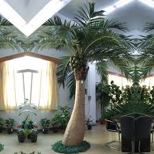 If not, let me tell you what the fuss is all about. China Home Decor 10f Artificial Coconut Tree China Artificial Tree And Artificial Coconut Tree Price