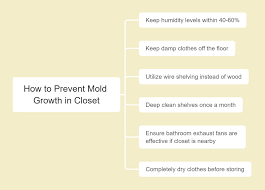 prevent mold from growing in your closet