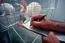 Sample letter for companion animal. Animal Welfare Wikipedia