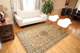 area rugs oriental rugs area