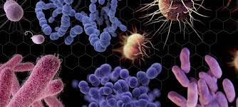 La incapacidad para fabricar antibióticos nuevos favorece la resistencia de las bacterias a los medicamentos | Noticias ONU