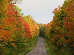 Heres The Best Way To See Michigan Fall Colors On Your Drive