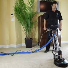 dry n clean carpet cleaning bayside