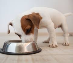 How Many Calories In Blue Buffalo Dog Food Simply For Dogs