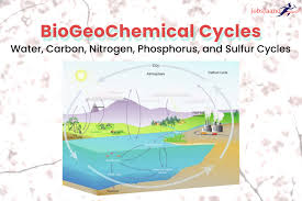 The phosphorus cycle is unusual in that it is entirely (a) within the aquatic ecosystem Questions On Carbon Cycle Nitrogen Cycle Biogeochemical Cycles Jobsjaano Com