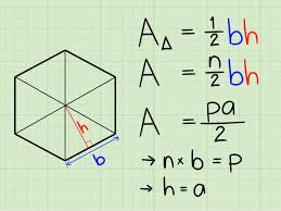How To Find The Area Of Regular Polygons With Examples