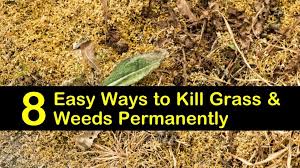 Kill Grass And Weeds Permanently