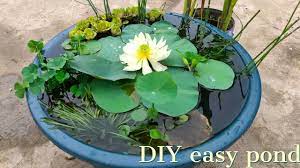 easy pond with plastic tub