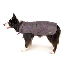 Great Small Raincoat Grey Purple
