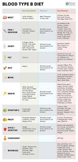 Blood Type Diet Chart For Blood Type B What Foods You Should
