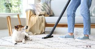 how to get rid of fleas in your home