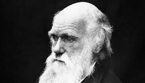The Evolution Of Charles Darwin Science Smithsonian