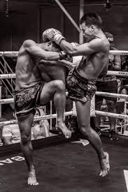 a beginners guide to muay thai