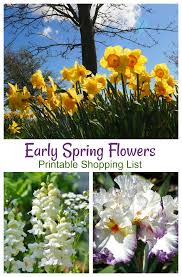 My granny says that there is a special flower for each month of the year. Spring Blooming Plants 20 Top Picks For Early Spring Flowers Updated