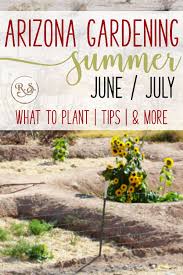 Arizona Gardening Summers June July