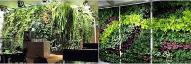 Landscaping Garden Indoor Office Plants