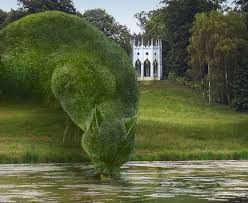 Image result for topiary