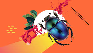 Image result for More High Authority Internal Linking\