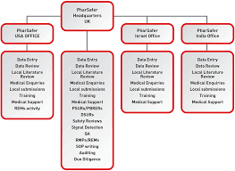 Company Structure Chart Pharsafer Specialists In Global