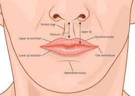 upper lip complications common