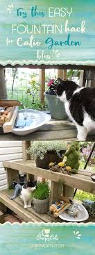 Sep 02, 2017 · cat safe plants: Turn Your Catio Into A Cat Paradise With This Easy Fountain Hack