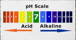Ph Chart Of Alkaline And Acidic Foods