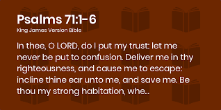 Psalms 71:1-6 KJV - In thee, O LORD, do I put my trust: let me never be put  to confusion.