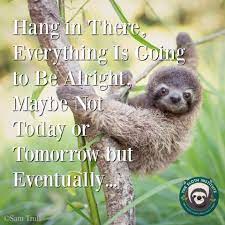 Maybe you would like to learn more about one of these? The Sloth Institute On Twitter Happy Sunday Sloth Lovers Hang In There Everything Is Going To Be Alright Maybe Not Today Or Tomorrow But Eventually Helpsloth Weekendvibes Happysunday Sunday Sloth Smile