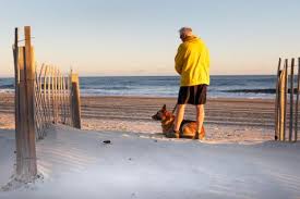 6 dog friendly beaches