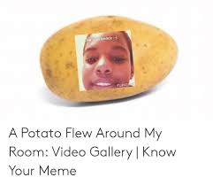 A potato flew around my room. 25 Best Memes About A Potato Flew Around My Room Song Lyrics Meme A Potato Flew Around My Room Song Lyrics Memes