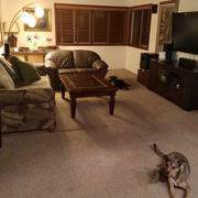 jacks carpet cleaning 13 reviews