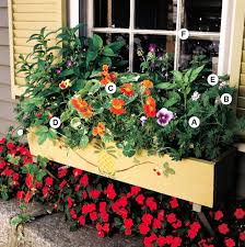 19 colorful window box ideas to