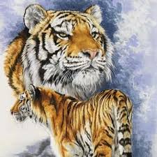 Tiger Panthera Tigris Classification Wild Cat Family